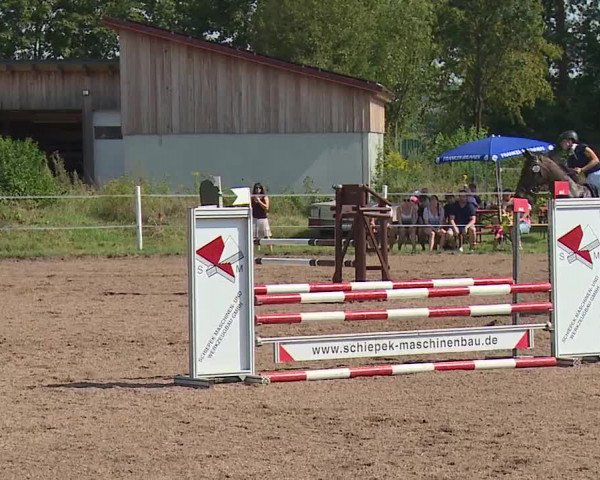 Reitturnier Demantsfürth/Mfr. 2023