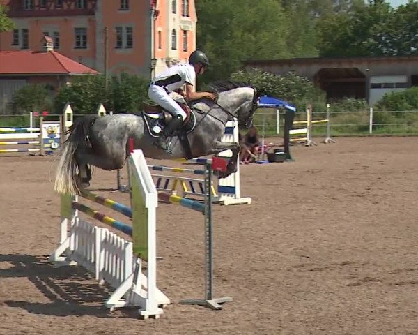 Reitturnier Demantsfürth/Mfr. 2023