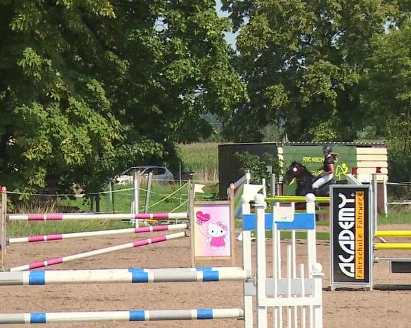 Reitturnier Demantsfürth/Mfr. 2023
