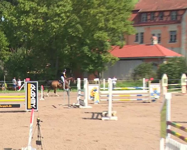 Reitturnier Demantsfürth/Mfr. 2023