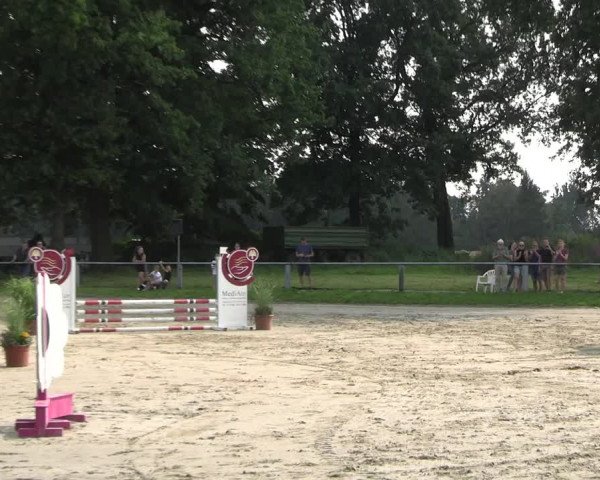 Reitturnier Datteln 2023