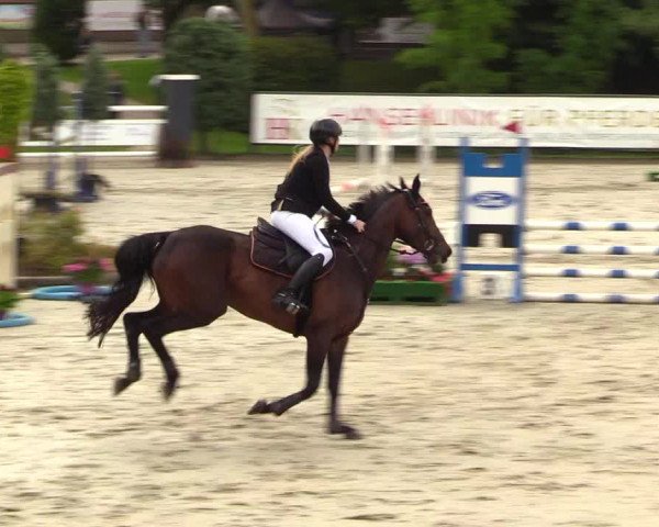 Reitturnier Schnarup-Thumby 2023