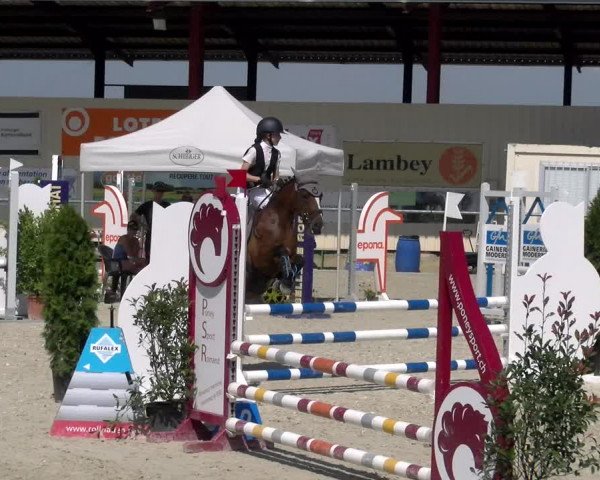 Reitturnier Dompierre 2023