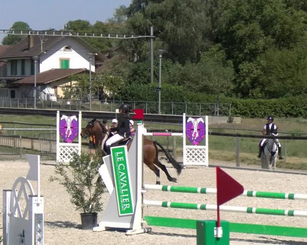 Reitturnier Dompierre 2023