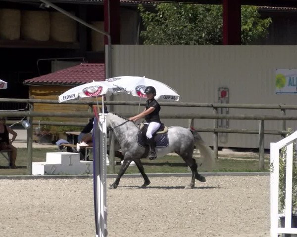 Reitturnier Dompierre 2023