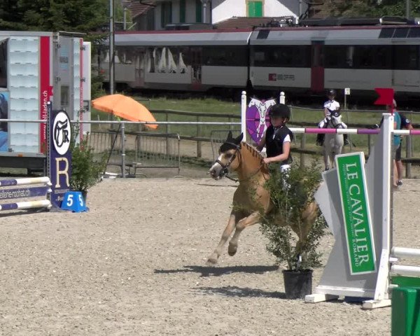 Reitturnier Dompierre 2023