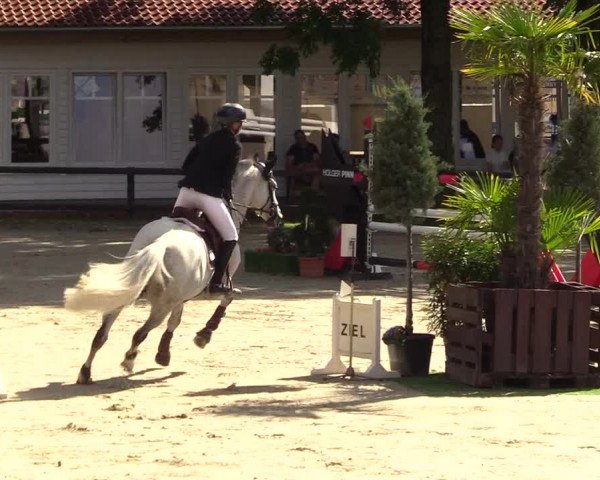 Reitturnier Schnarup-Thumby 2023