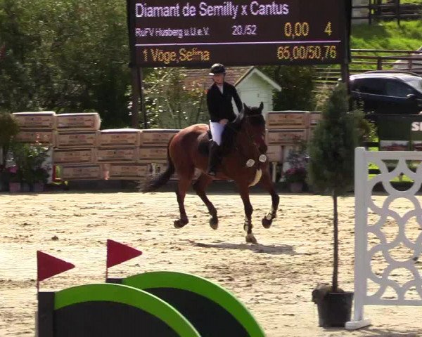Reitturnier Schnarup-Thumby 2023