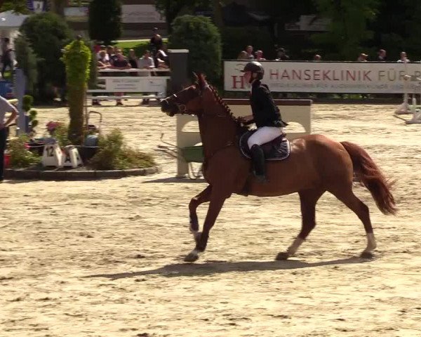 Reitturnier Schnarup-Thumby 2023