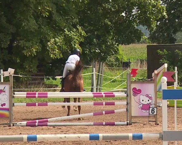 Reitturnier Demantsfürth/Mfr. 2023