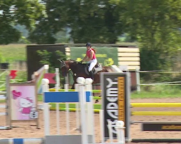 Reitturnier Demantsfürth/Mfr. 2023