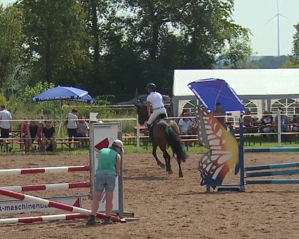 Reitturnier Demantsfürth/Mfr. 2023