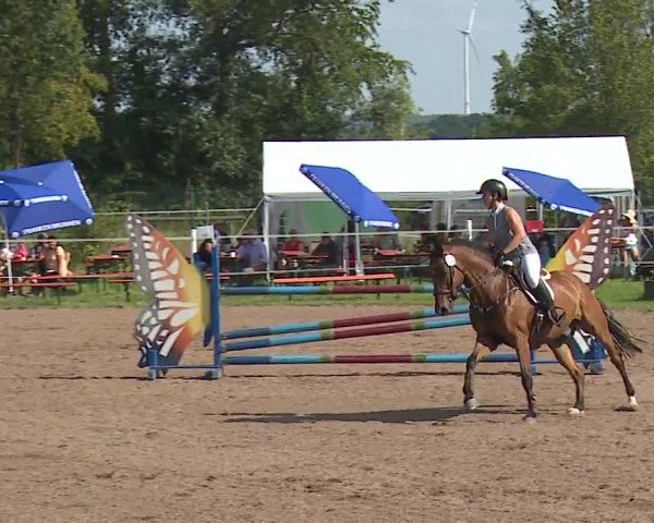Reitturnier Demantsfürth/Mfr. 2023