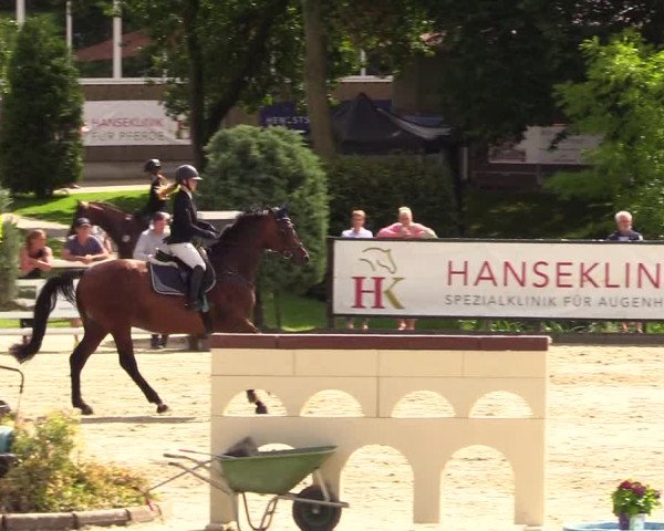 Reitturnier Schnarup-Thumby 2023