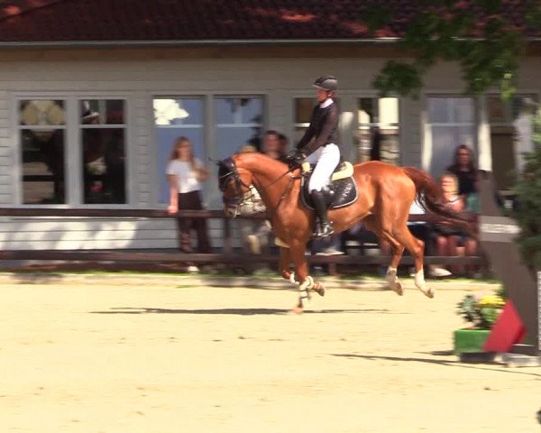 Reitturnier Schnarup-Thumby 2023