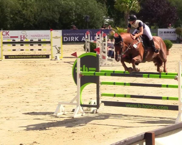 Reitturnier Schnarup-Thumby 2023