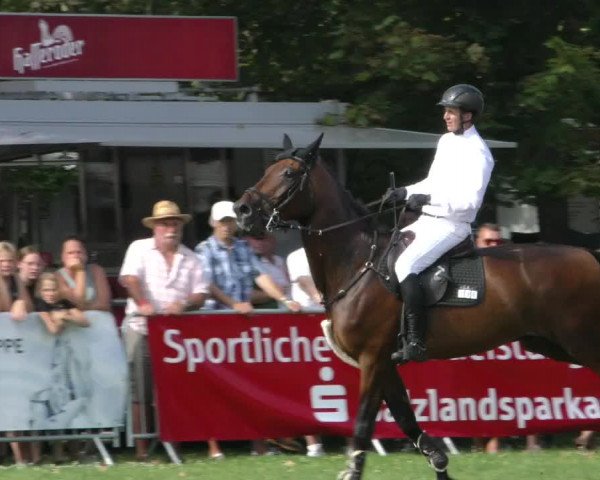 Reitturnier Aschersleben 2023