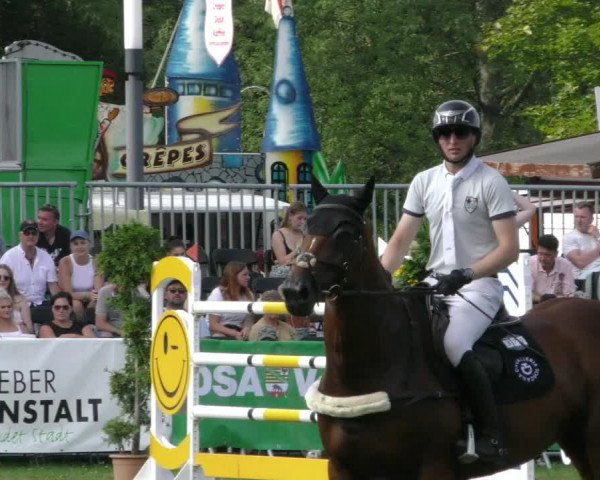 Reitturnier Aschersleben 2023