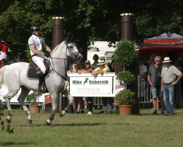 Reitturnier Aschersleben 2023