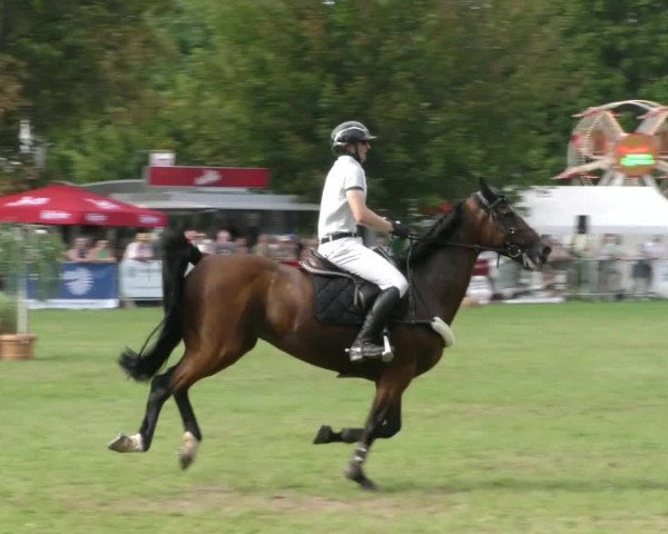 Reitturnier Aschersleben 2023