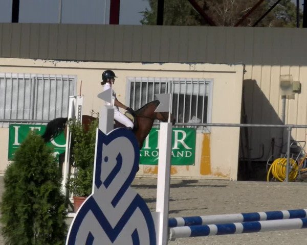 Reitturnier Dompierre 2023