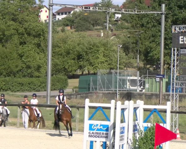 Reitturnier Dompierre 2023