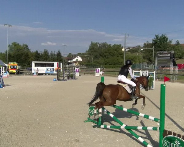 Reitturnier Dompierre 2023