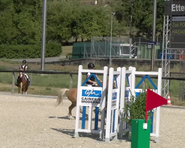 Reitturnier Dompierre 2023