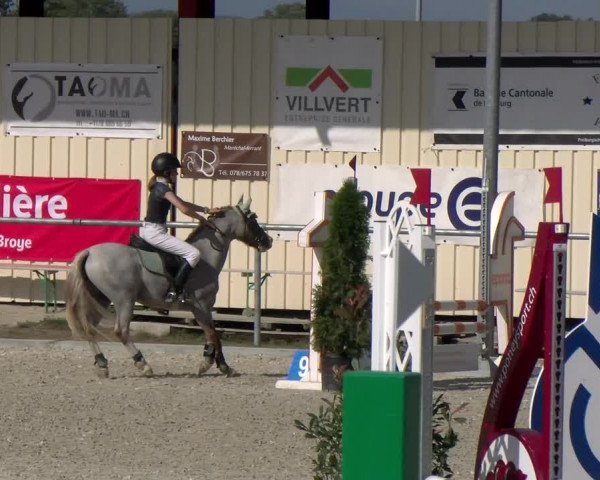 Reitturnier Dompierre 2023