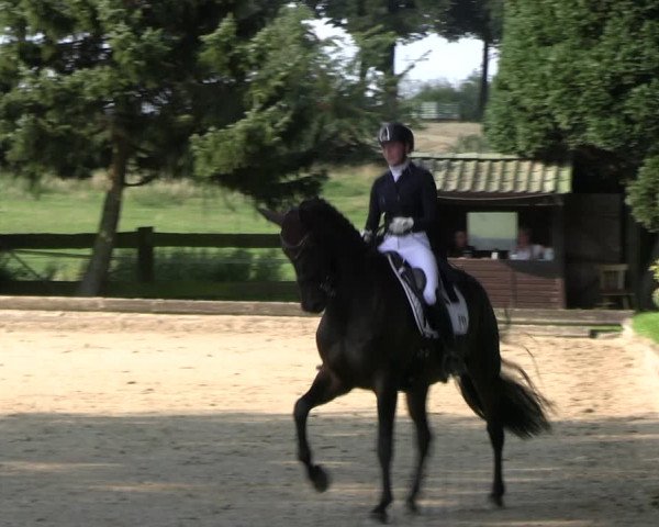 Reitturnier Datteln 2023