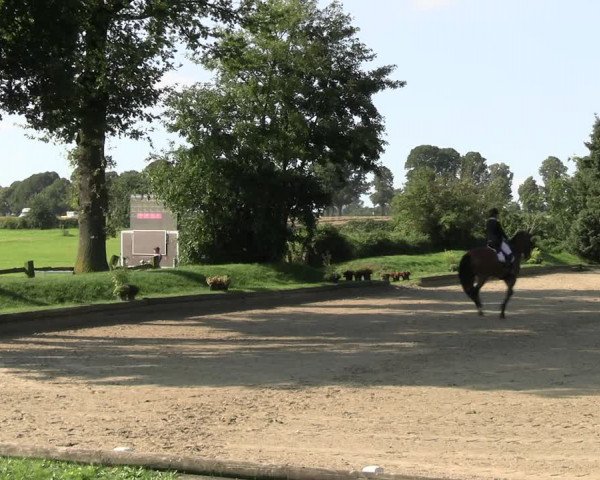 Reitturnier Datteln 2023