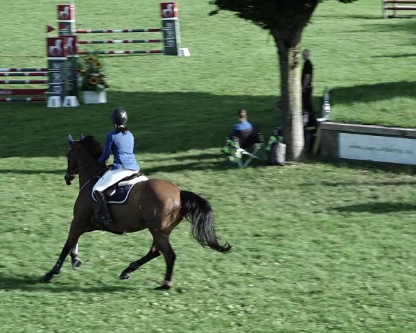 Reitturnier Aadorf 2023