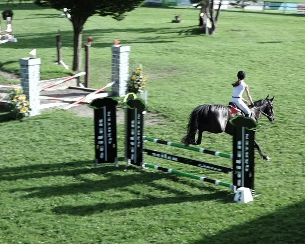 Reitturnier Aadorf 2023