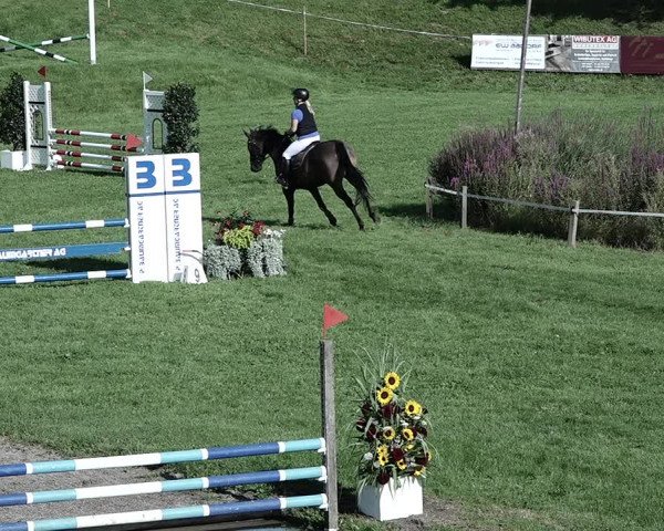 Reitturnier Aadorf 2023