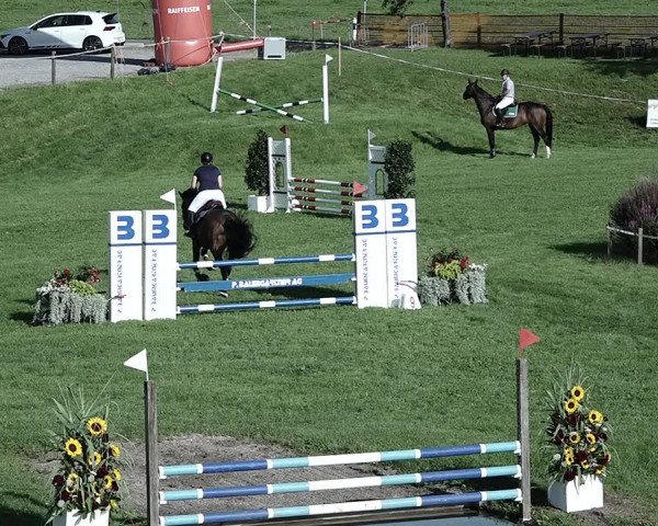 Reitturnier Aadorf 2023