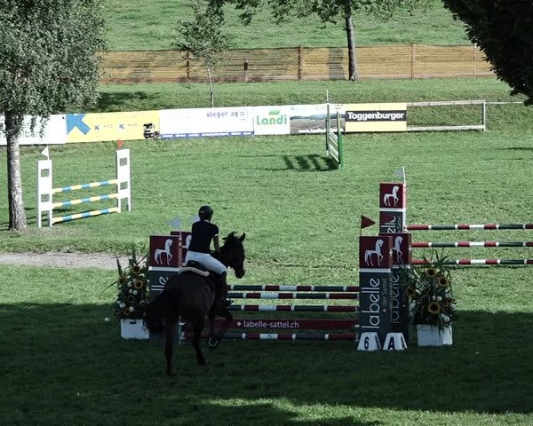 Reitturnier Aadorf 2023