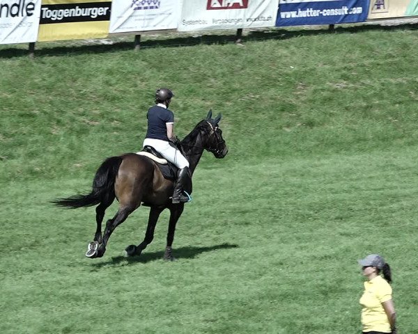 Reitturnier Aadorf 2023