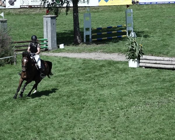 Reitturnier Aadorf 2023