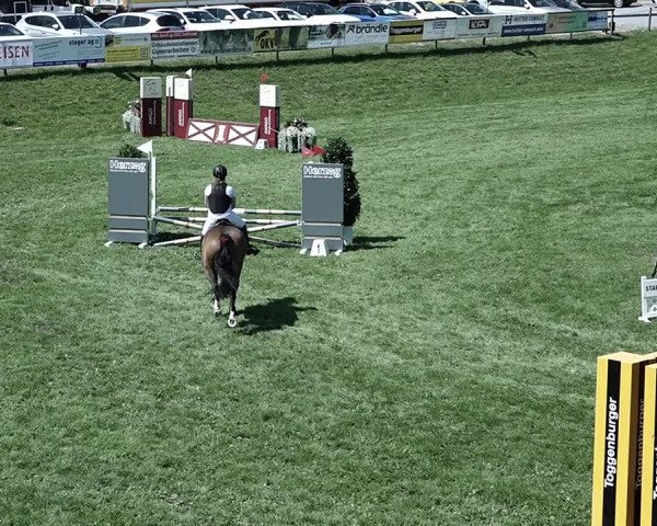 Reitturnier Aadorf 2023