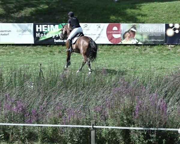 Reitturnier Aadorf 2023