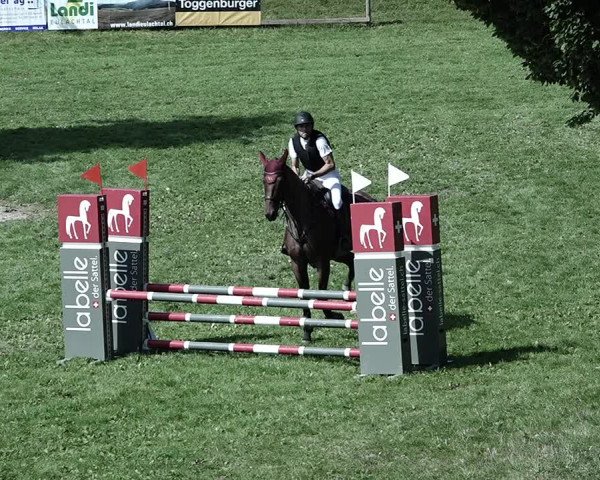 Reitturnier Aadorf 2023