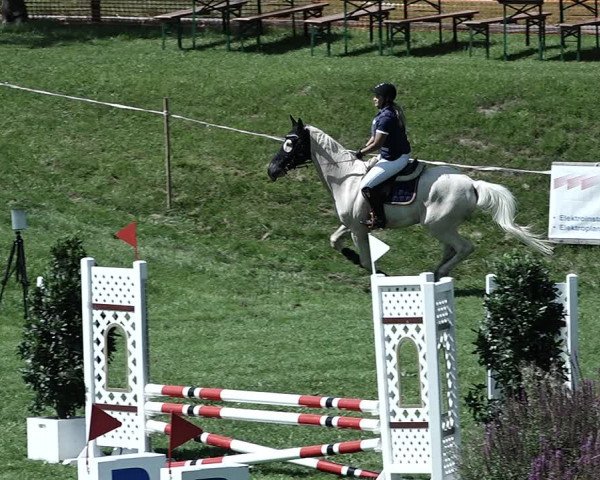 Reitturnier Aadorf 2023