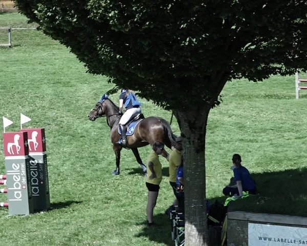 Reitturnier Aadorf 2023