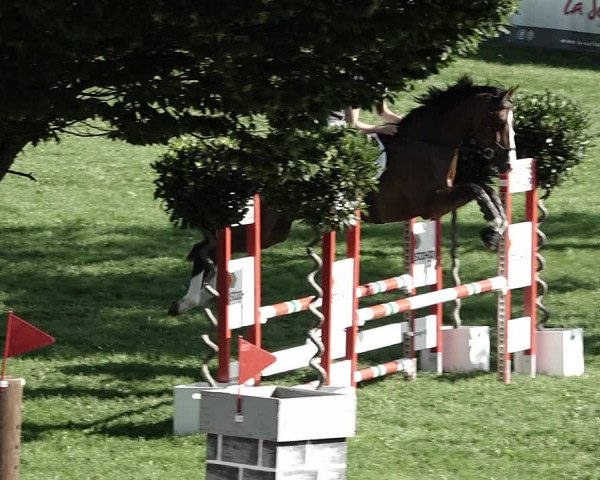 Reitturnier Aadorf 2023