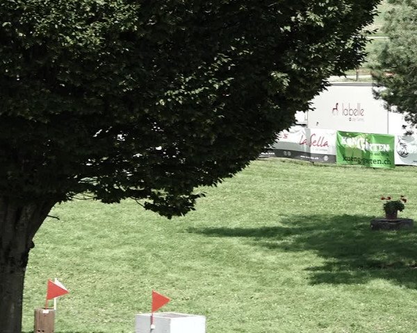 Reitturnier Aadorf 2023