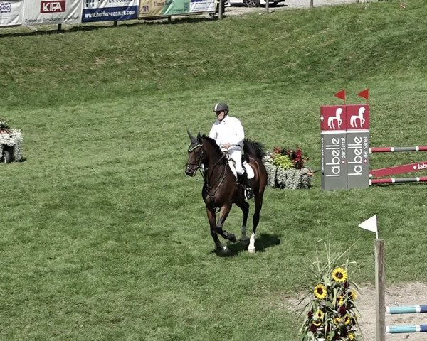 Reitturnier Aadorf 2023
