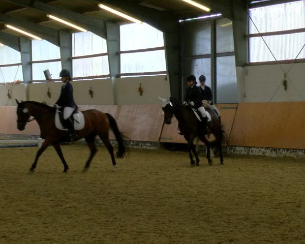 Reitturnier Datteln 2023