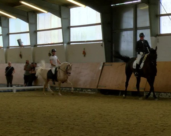 Reitturnier Datteln 2023