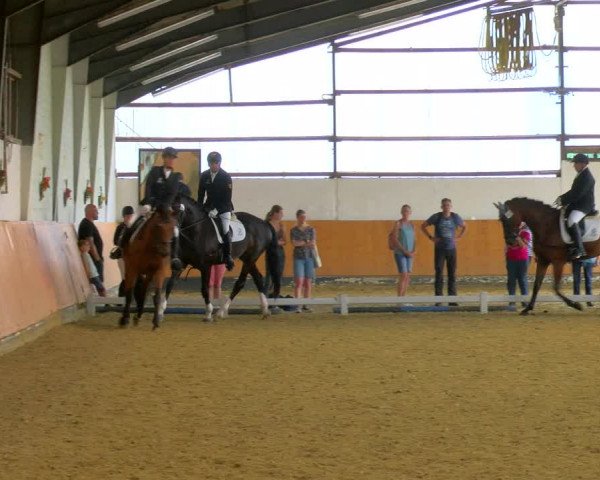Reitturnier Datteln 2023