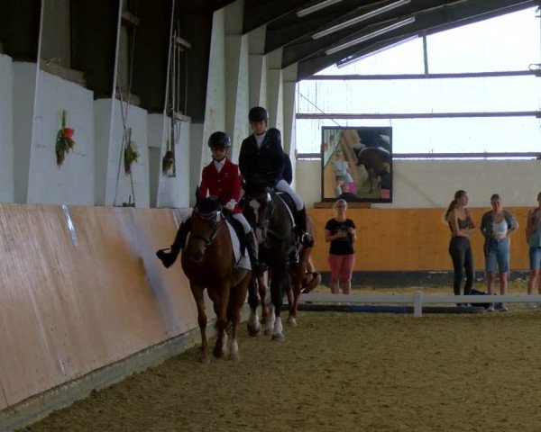 Reitturnier Datteln 2023